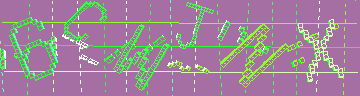 確認代碼