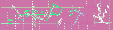 確認代碼