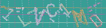 確認代碼