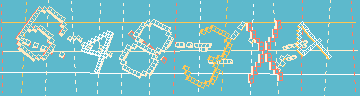 確認代碼