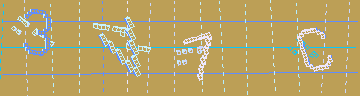 確認代碼