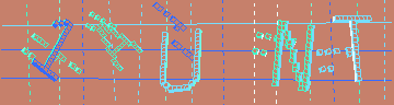 確認代碼