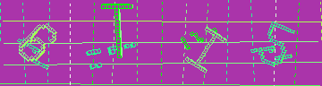 確認代碼