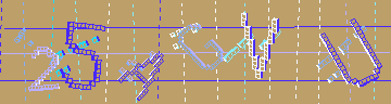 確認代碼