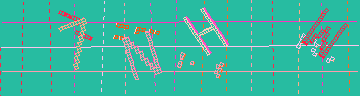 確認代碼