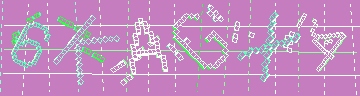 確認代碼