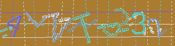 確認代碼