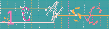 確認代碼