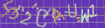 確認代碼