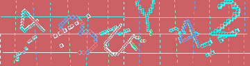 確認代碼