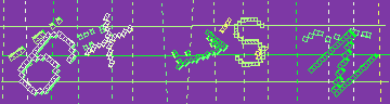 確認代碼