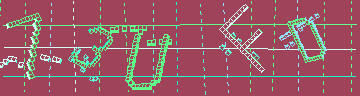 確認代碼