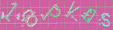 確認代碼