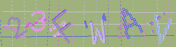 確認代碼