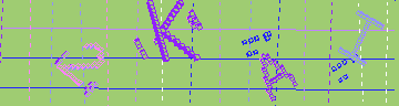 確認代碼