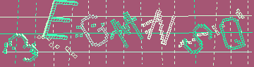 確認代碼