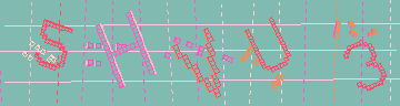 確認代碼