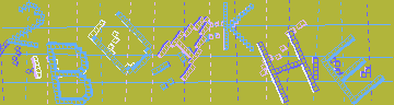 確認代碼