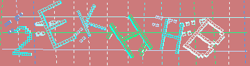 確認代碼