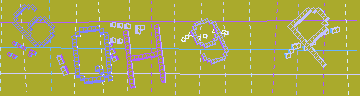 確認代碼