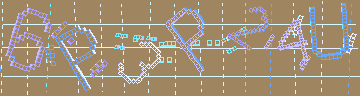 確認代碼