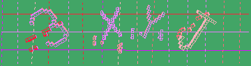 確認代碼