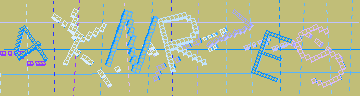 確認代碼