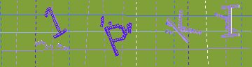 確認代碼