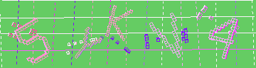 確認代碼