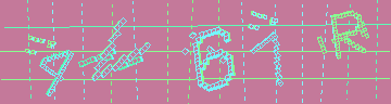 確認代碼