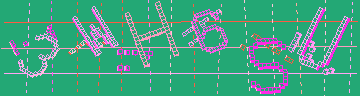 確認代碼
