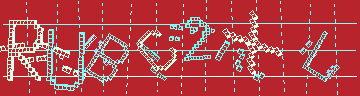 確認代碼