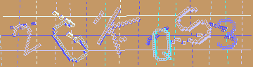 確認代碼