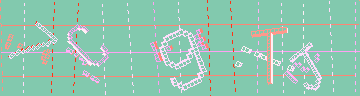 確認代碼