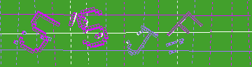 確認代碼