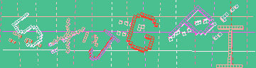 確認代碼