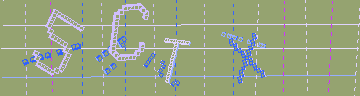 確認代碼