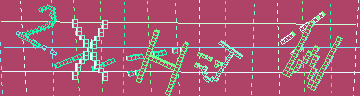 確認代碼