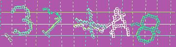 確認代碼