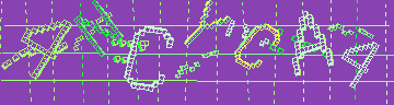 確認代碼