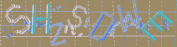 確認代碼