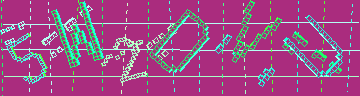 確認代碼