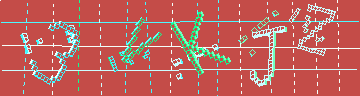 確認代碼