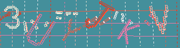 確認代碼