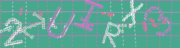 確認代碼