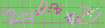 確認代碼