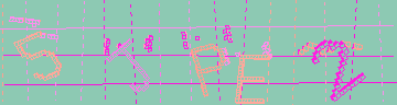 確認代碼