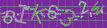 確認代碼
