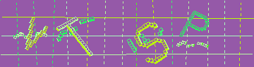 確認代碼