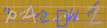 確認代碼